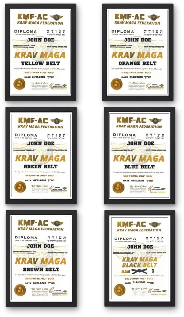 Krav Maga Color Belt Test Certification