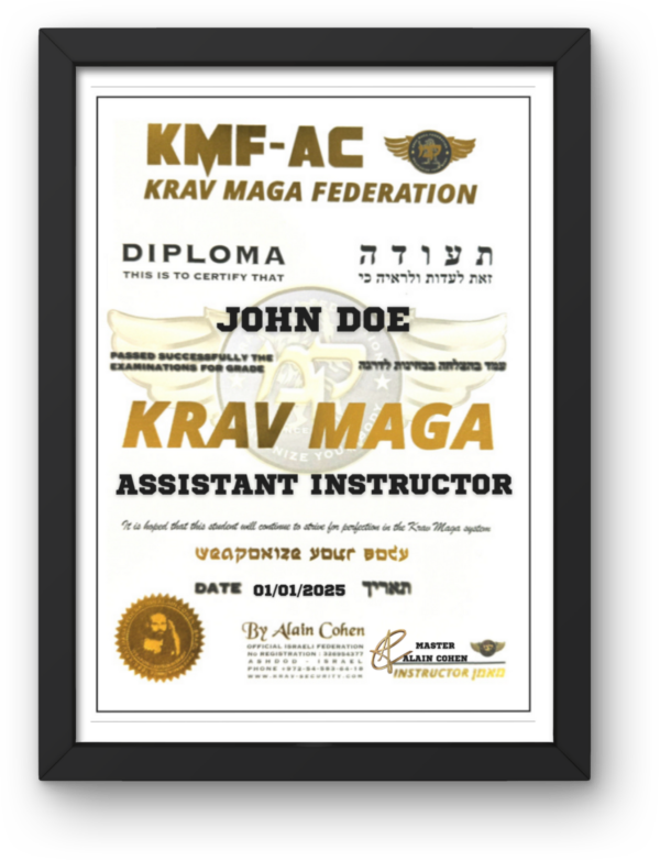 Assistant Instructor Certification